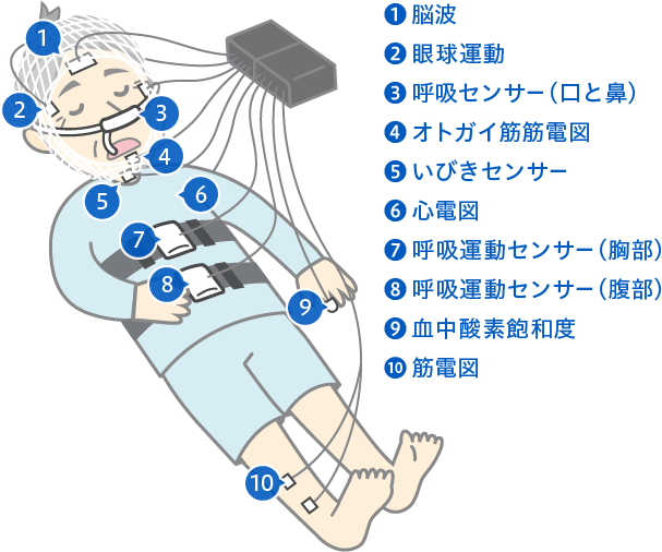 ポリ ソム ノ グラフィー 結果 の 見方